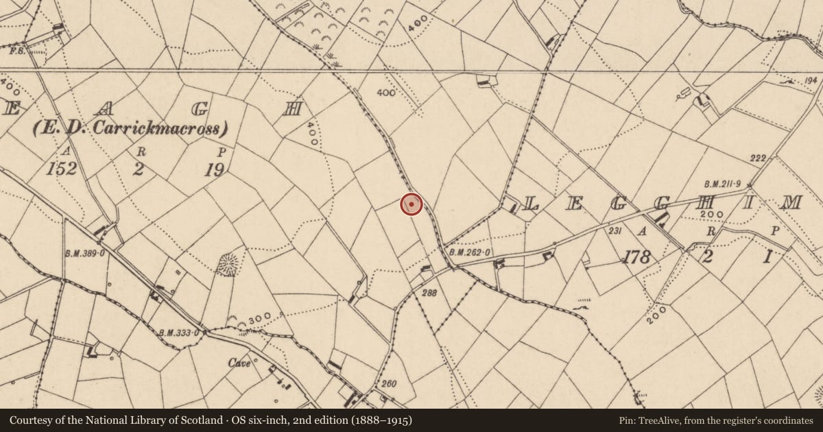 Ordnance Survey six-inch map, 2nd edition (1888–1915) covering the location of Ringfort - rath, Beagh (Farney By., Magheross Par.), County Monaghan, with a pin at the register's coordinates