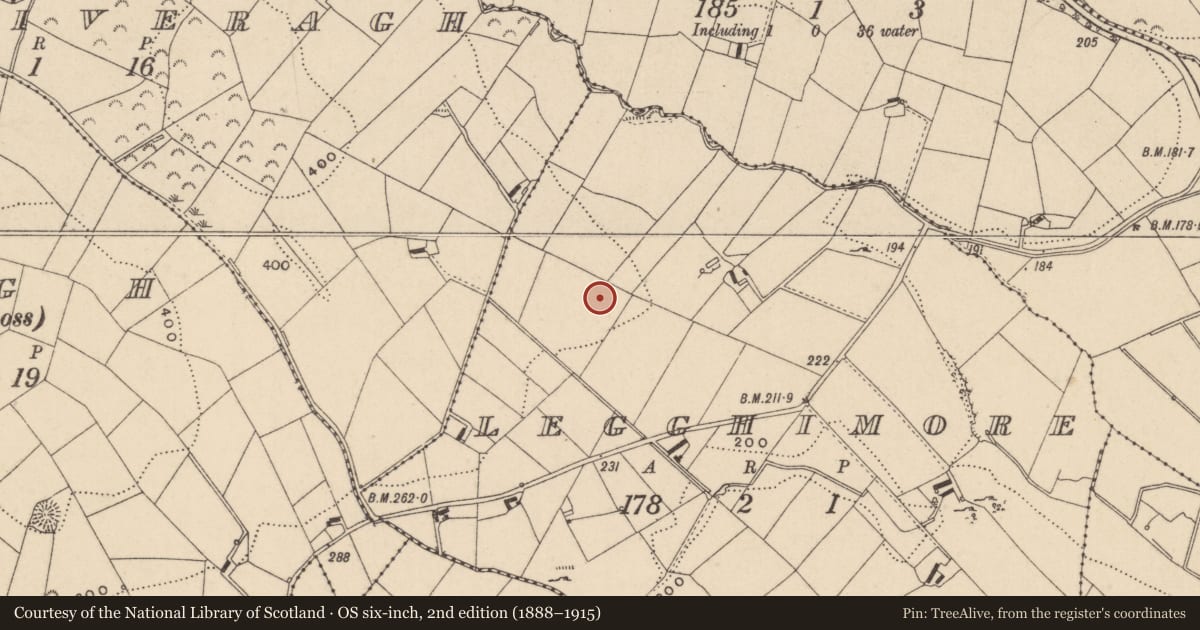 Ordnance Survey six-inch map, 2nd edition (1888–1915) covering the location of Ringfort - rath, Legghimore, County Monaghan, with a pin at the register's coordinates