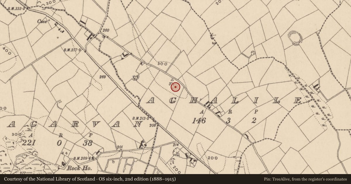 Ordnance Survey six-inch map, 2nd edition (1888–1915) covering the location of Ringfort - rath, Aghalile, County Monaghan, with a pin at the register's coordinates
