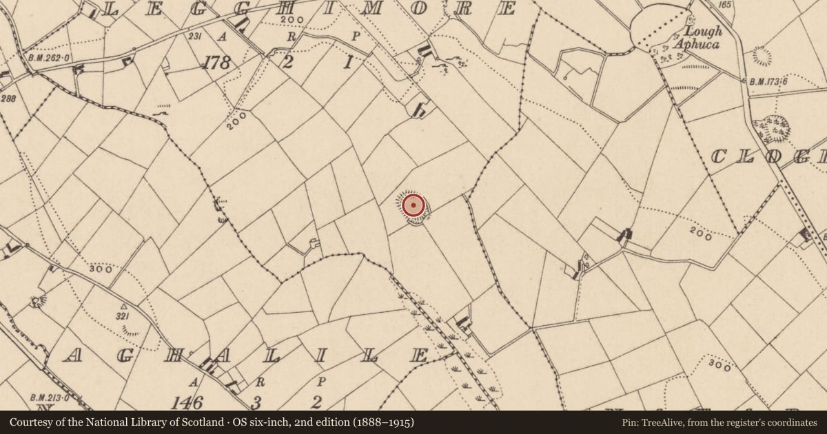 Ordnance Survey six-inch map, 2nd edition (1888–1915) covering the location of Ringfort - rath, Legghimore, County Monaghan, with a pin at the register's coordinates