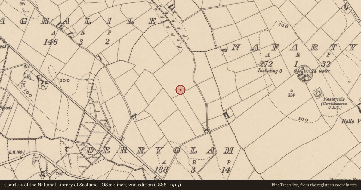 Ordnance Survey six-inch map, 2nd edition (1888–1915) covering the location of Ringfort - rath, Derryolam, County Monaghan, with a pin at the register's coordinates