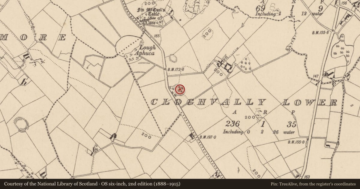 Ordnance Survey six-inch map, 2nd edition (1888–1915) covering the location of Ringfort - rath, Cloghvally Lower, County Monaghan, with a pin at the register's coordinates