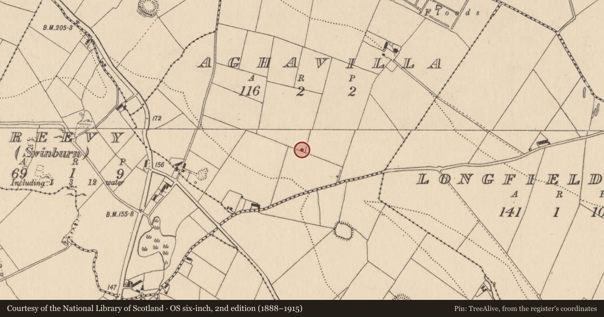 Ordnance Survey six-inch map, 2nd edition (1888–1915) covering the location of Ringfort - rath, Aghavilla, County Monaghan, with a pin at the register's coordinates