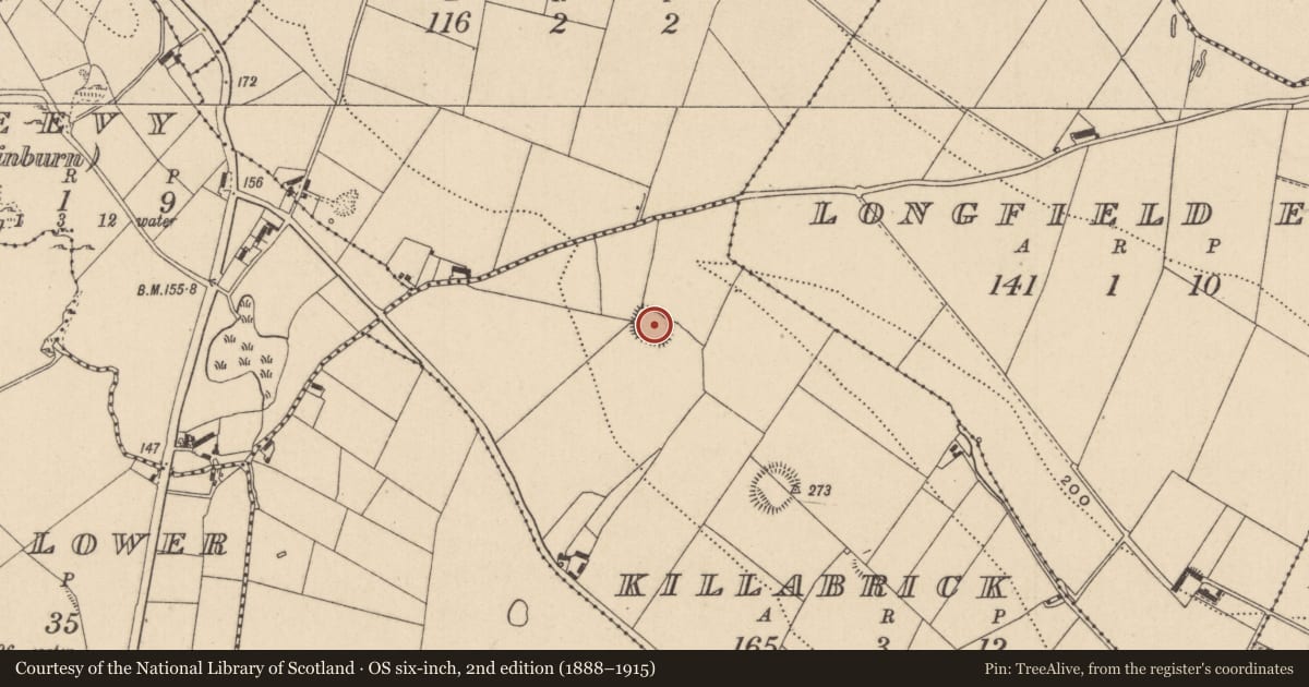 Ordnance Survey six-inch map, 2nd edition (1888–1915) covering the location of Ringfort - rath, Killabrick, County Monaghan, with a pin at the register's coordinates