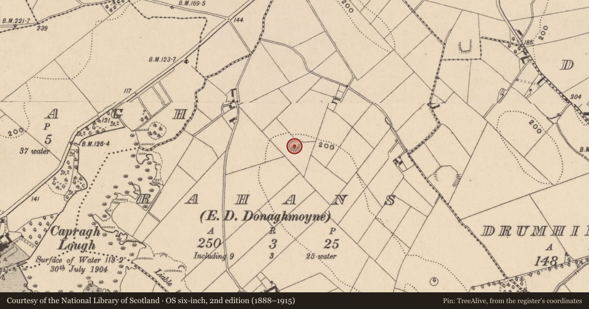 Ordnance Survey six-inch map, 2nd edition (1888–1915) covering the location of Ringfort - rath, Rahans (Farney By., Donaghmoyne Par.), County Monaghan, with a pin at the register's coordinates