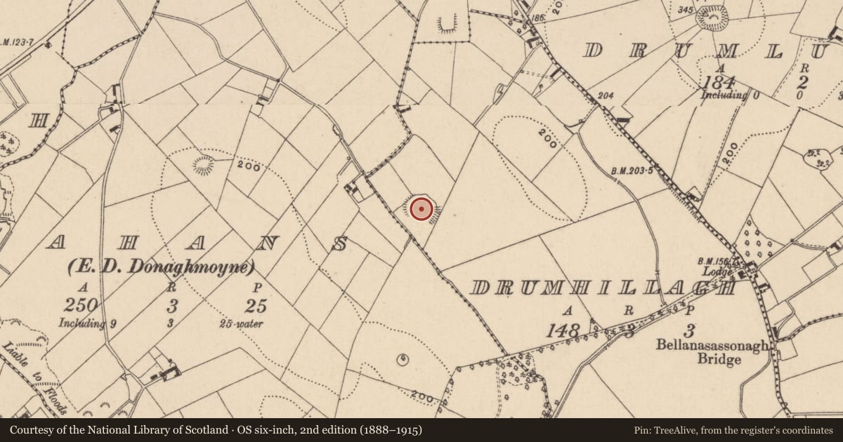 Ordnance Survey six-inch map, 2nd edition (1888–1915) covering the location of Ringfort - rath, Drumhillagh, County Monaghan, with a pin at the register's coordinates