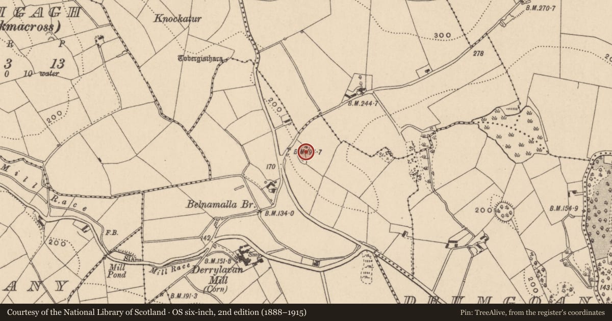 Ordnance Survey six-inch map, 2nd edition (1888–1915) covering the location of Ringfort - unclassified, Derrylavan, County Monaghan, with a pin at the register's coordinates