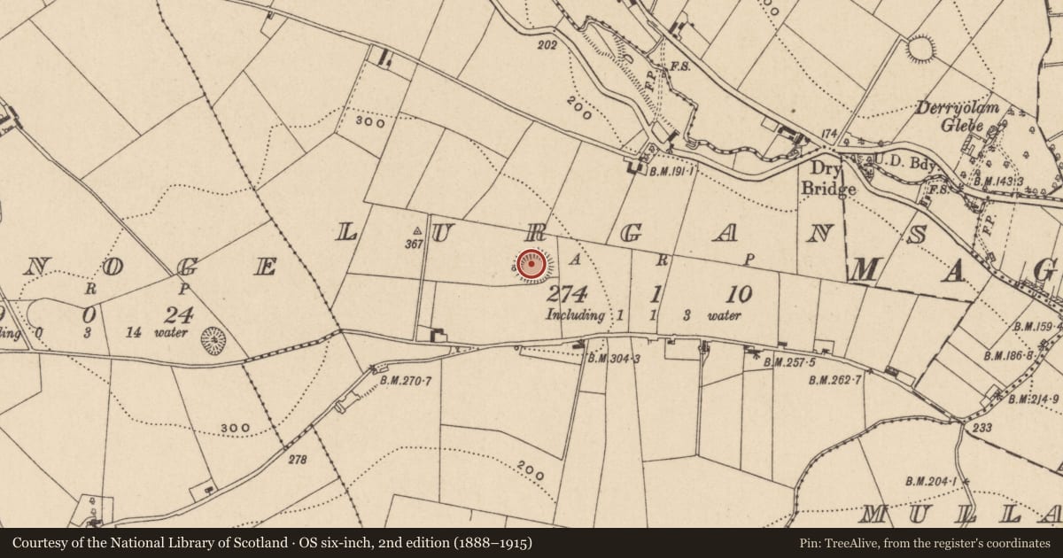 Ordnance Survey six-inch map, 2nd edition (1888–1915) covering the location of Ringfort - rath, Lurgans, County Monaghan, with a pin at the register's coordinates