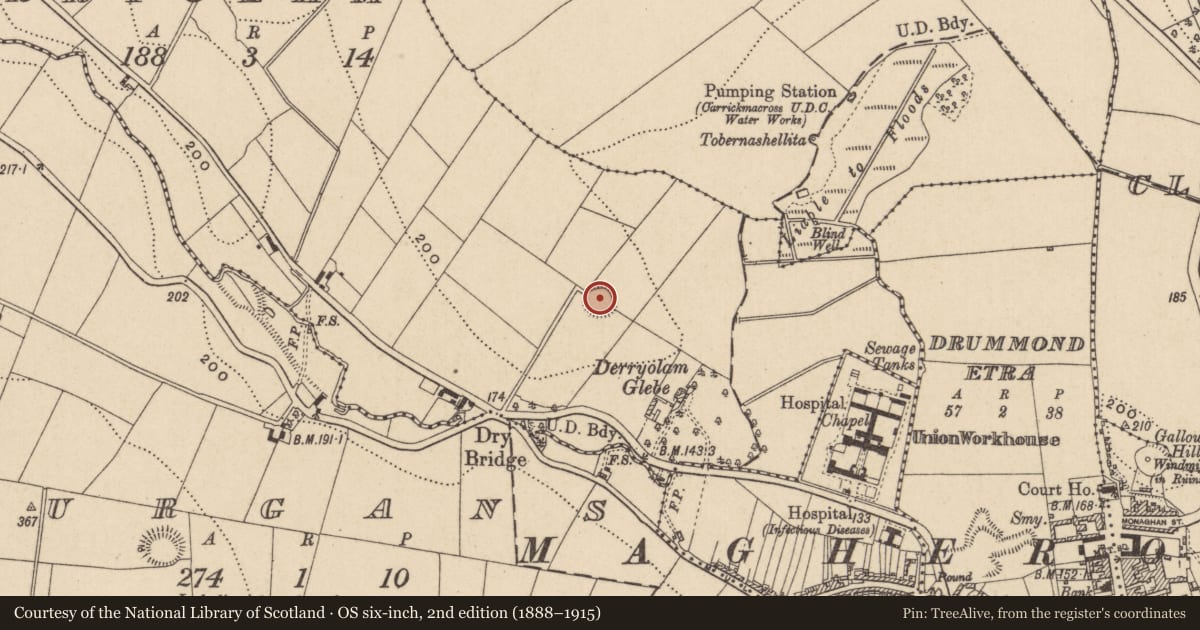 Ordnance Survey six-inch map, 2nd edition (1888–1915) covering the location of Ringfort - rath, Derryolam, County Monaghan, with a pin at the register's coordinates