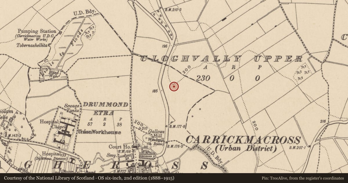 Ordnance Survey six-inch map, 2nd edition (1888–1915) covering the location of Ringfort - rath, Cloghvally Upper, County Monaghan, with a pin at the register's coordinates