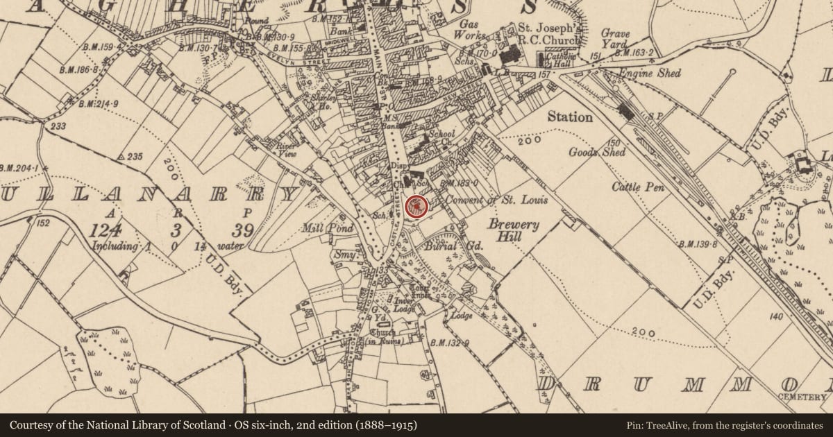 Ordnance Survey six-inch map, 2nd edition (1888–1915) covering the location of Bawn, Drummond Otra, County Monaghan, with a pin at the register's coordinates