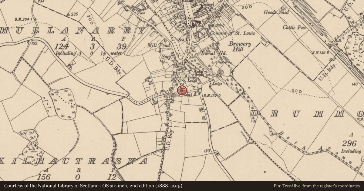 Ordnance Survey six-inch map, 2nd edition (1888–1915) covering the location of Graveyard, Magheross, County Monaghan, with a pin at the register's coordinates