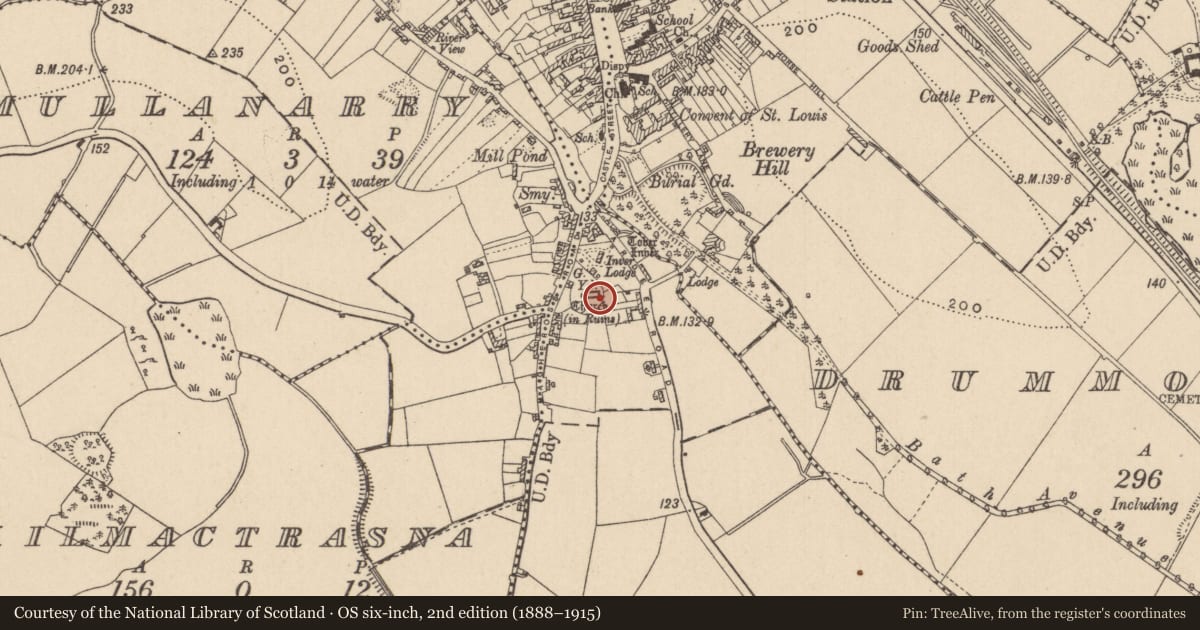 Ordnance Survey six-inch map, 2nd edition (1888–1915) covering the location of Graveslab, Magheross, County Monaghan, with a pin at the register's coordinates