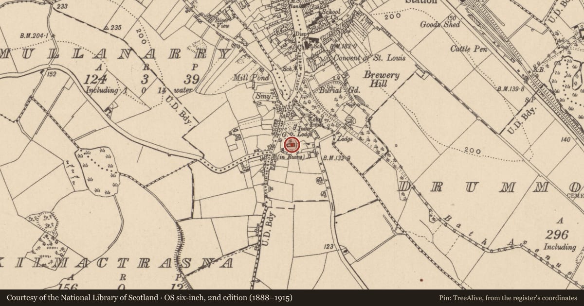 Ordnance Survey six-inch map, 2nd edition (1888–1915) covering the location of Graveslab, Magheross, County Monaghan, with a pin at the register's coordinates