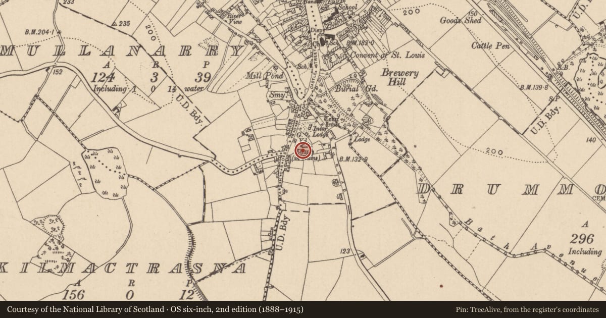 Ordnance Survey six-inch map, 2nd edition (1888–1915) covering the location of Cross - Churchyard cross, Magheross, County Monaghan, with a pin at the register's coordinates