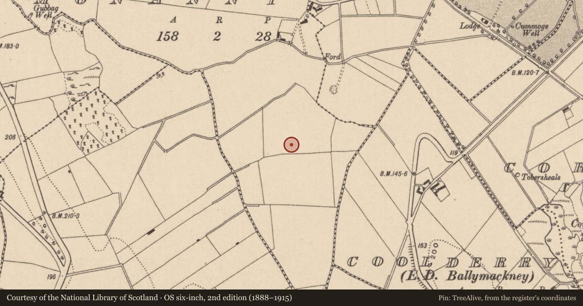 Ordnance Survey six-inch map, 2nd edition (1888–1915) covering the location of Ringfort - rath, Monanny, County Monaghan, with a pin at the register's coordinates