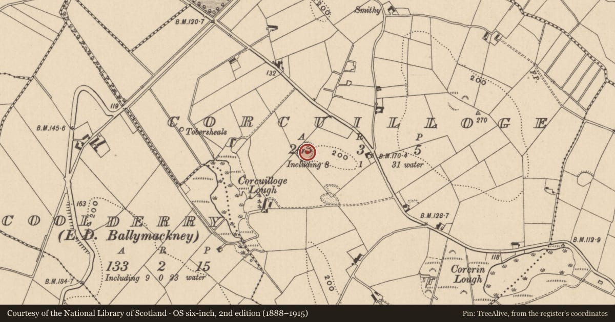 Ordnance Survey six-inch map, 2nd edition (1888–1915) covering the location of Ringfort - rath, Corcuilloge, County Monaghan, with a pin at the register's coordinates