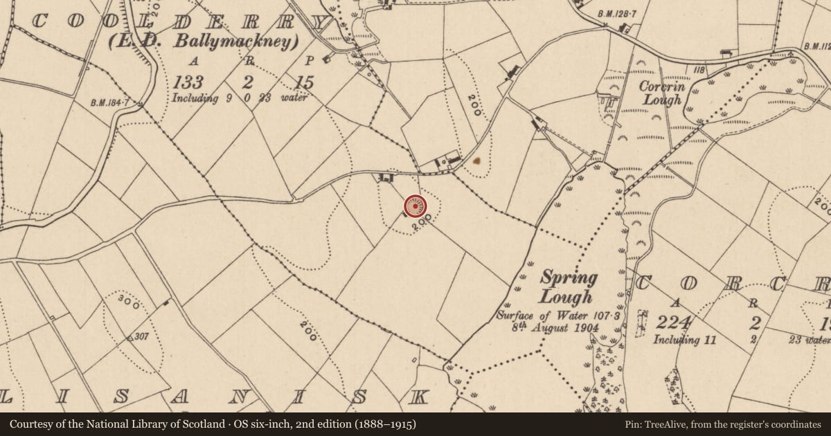 Ordnance Survey six-inch map, 2nd edition (1888–1915) covering the location of Ringfort - rath, Coolderry (Farney By., Magheross Par.), County Monaghan, with a pin at the register's coordinates