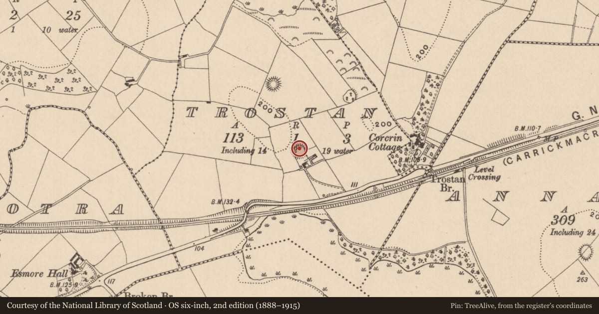 Ordnance Survey six-inch map, 2nd edition (1888–1915) covering the location of Ringfort - rath, Trostan, County Monaghan, with a pin at the register's coordinates