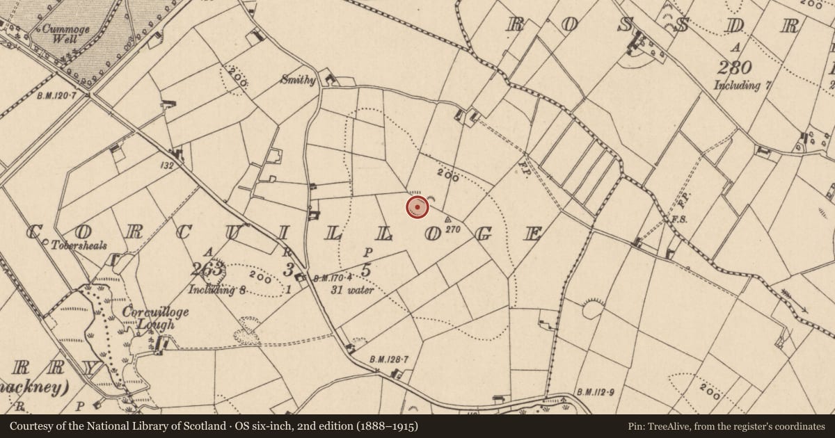 Ordnance Survey six-inch map, 2nd edition (1888–1915) covering the location of Ringfort - rath, Corcuilloge, County Monaghan, with a pin at the register's coordinates