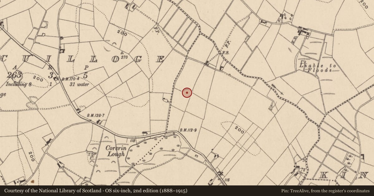 Ordnance Survey six-inch map, 2nd edition (1888–1915) covering the location of Ringfort - rath, Corcrin, County Monaghan, with a pin at the register's coordinates