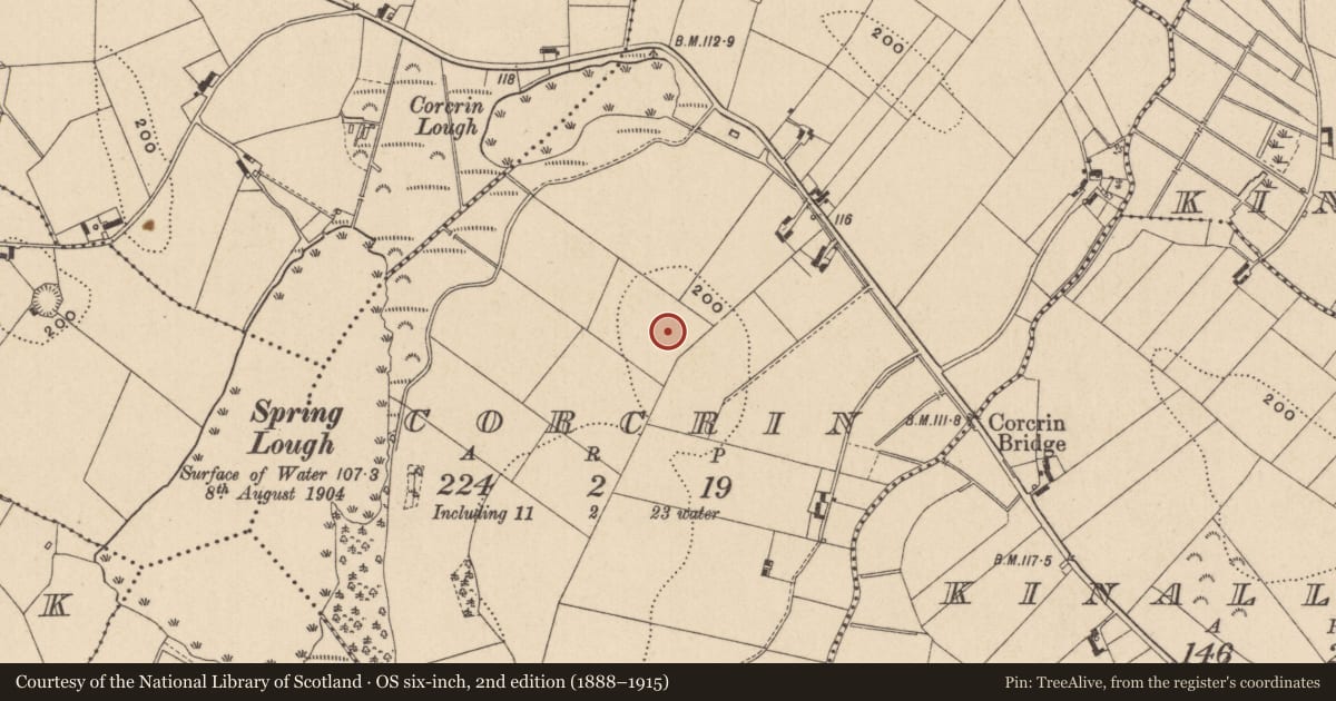 Ordnance Survey six-inch map, 2nd edition (1888–1915) covering the location of Ringfort - unclassified, Corcrin, County Monaghan, with a pin at the register's coordinates
