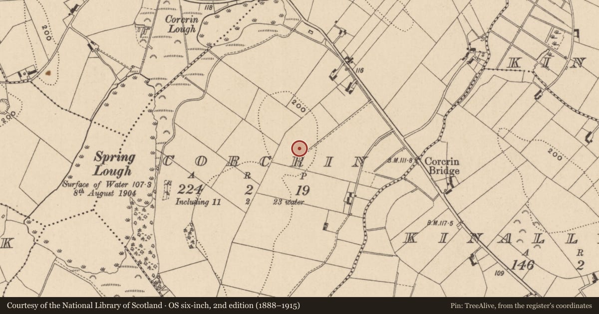 Ordnance Survey six-inch map, 2nd edition (1888–1915) covering the location of Ringfort - rath, Corcrin, County Monaghan, with a pin at the register's coordinates