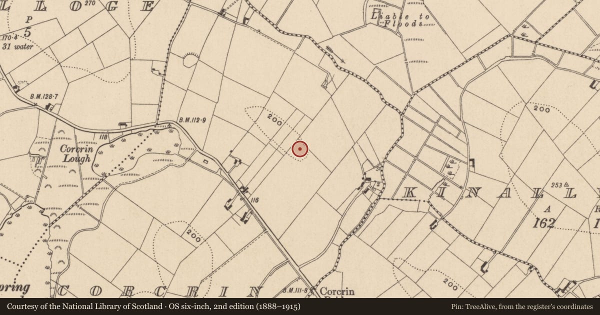 Ordnance Survey six-inch map, 2nd edition (1888–1915) covering the location of Ringfort - rath, Corcrin, County Monaghan, with a pin at the register's coordinates