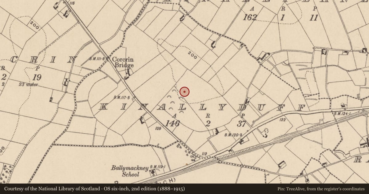 Ordnance Survey six-inch map, 2nd edition (1888–1915) covering the location of Ringfort - rath, Kinallyduff, County Monaghan, with a pin at the register's coordinates