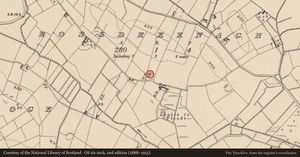 Ordnance Survey six-inch map, 2nd edition (1888–1915) covering the location of Souterrain, Rossdreenagh, County Monaghan, with a pin at the register's coordinates