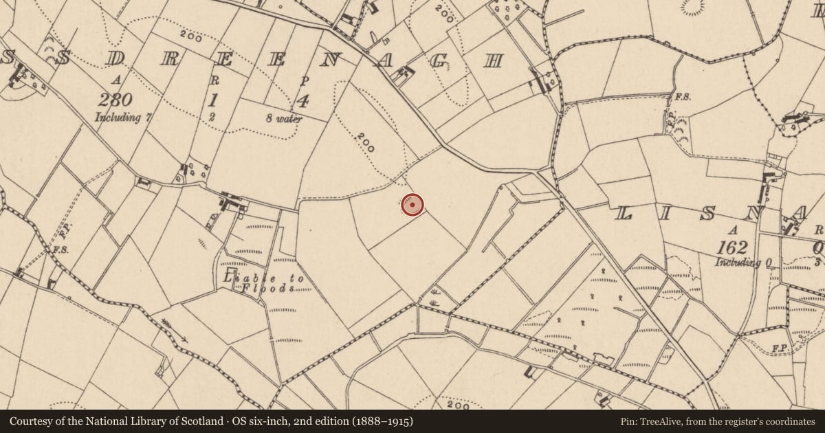 Ordnance Survey six-inch map, 2nd edition (1888–1915) covering the location of Ringfort - rath, Rossdreenagh, County Monaghan, with a pin at the register's coordinates