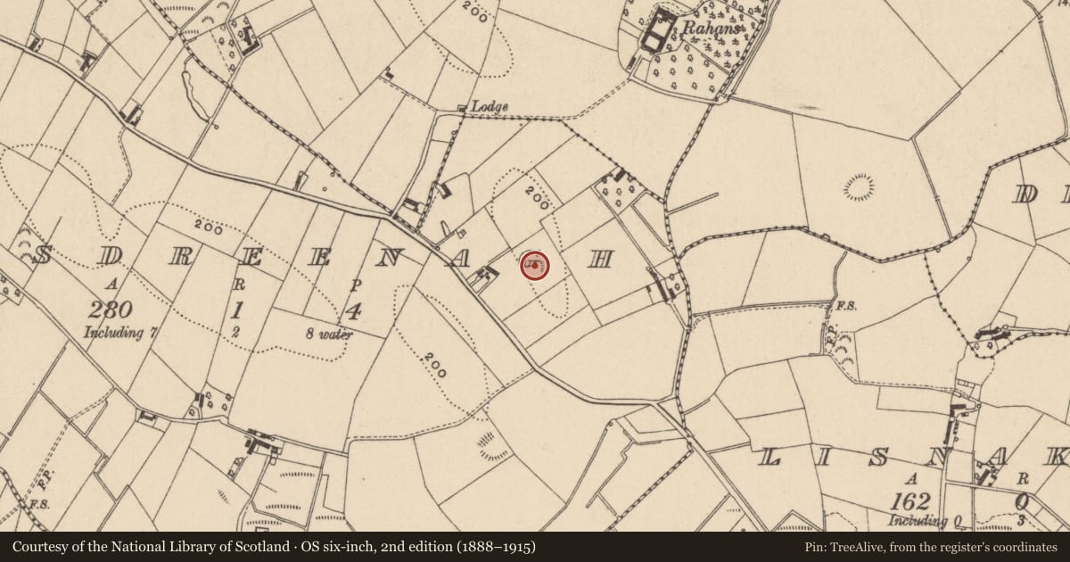 Ordnance Survey six-inch map, 2nd edition (1888–1915) covering the location of Ringfort - rath, Rossdreenagh, County Monaghan, with a pin at the register's coordinates