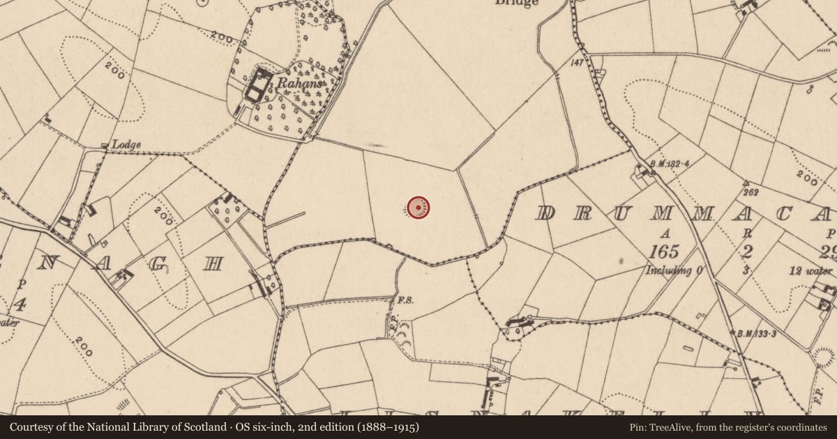 Ordnance Survey six-inch map, 2nd edition (1888–1915) covering the location of Ringfort - rath, Drumhillagh, County Monaghan, with a pin at the register's coordinates