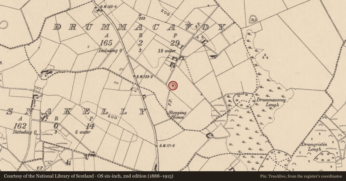 Ordnance Survey six-inch map, 2nd edition (1888–1915) covering the location of Ringfort - rath, Drummacavoy, County Monaghan, with a pin at the register's coordinates