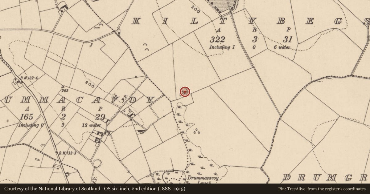 Ordnance Survey six-inch map, 2nd edition (1888–1915) covering the location of Ringfort - rath, Kiltybegs, County Monaghan, with a pin at the register's coordinates