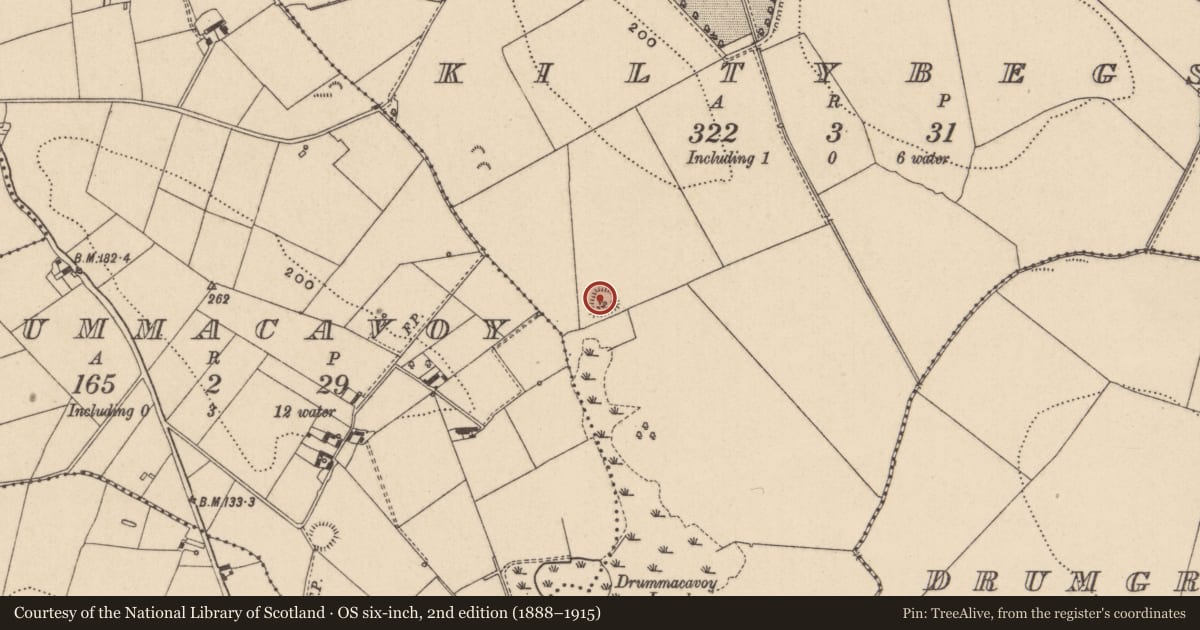 Ordnance Survey six-inch map, 2nd edition (1888–1915) covering the location of Souterrain, Kiltybegs, County Monaghan, with a pin at the register's coordinates