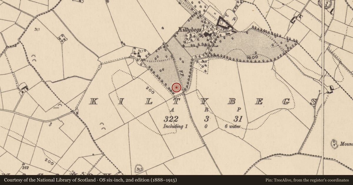Ordnance Survey six-inch map, 2nd edition (1888–1915) covering the location of Souterrain, Kiltybegs, County Monaghan, with a pin at the register's coordinates