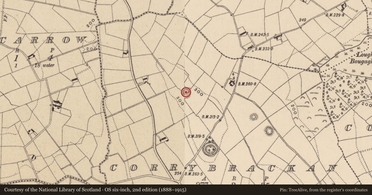 Ordnance Survey six-inch map, 2nd edition (1888–1915) covering the location of Ringfort - rath, Corrybrackan, County Monaghan, with a pin at the register's coordinates