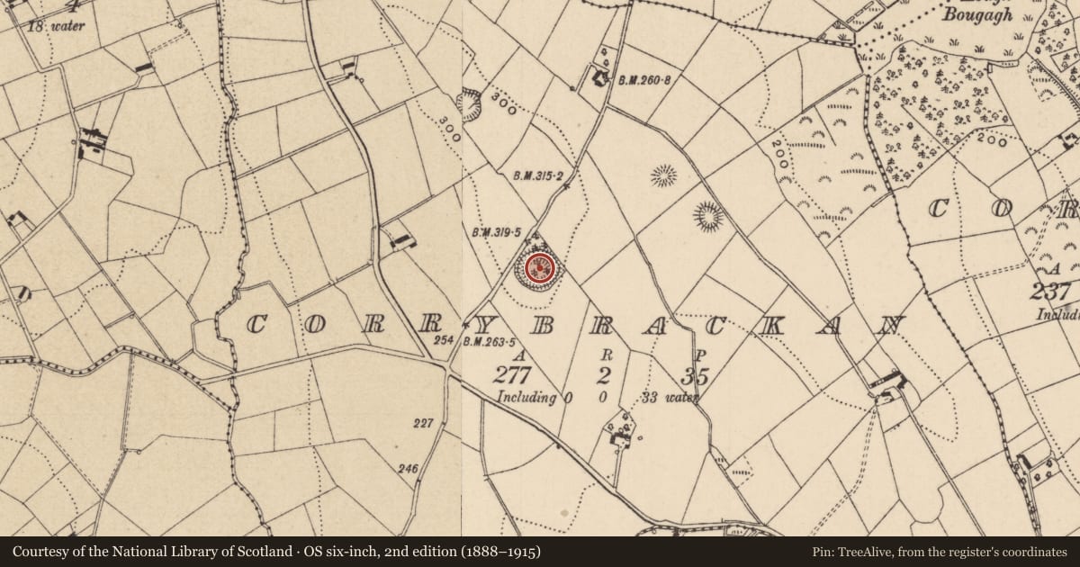 Ordnance Survey six-inch map, 2nd edition (1888–1915) covering the location of Ringfort - rath, Corrybrackan, County Monaghan, with a pin at the register's coordinates