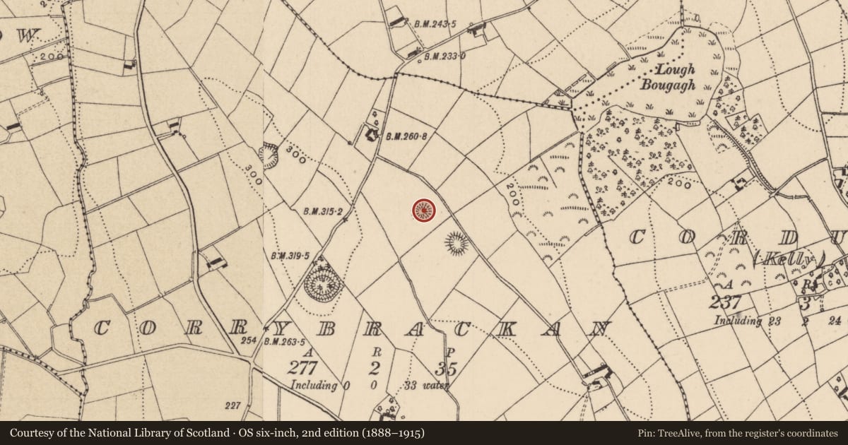 Ordnance Survey six-inch map, 2nd edition (1888–1915) covering the location of Ringfort - rath, Corrybrackan, County Monaghan, with a pin at the register's coordinates