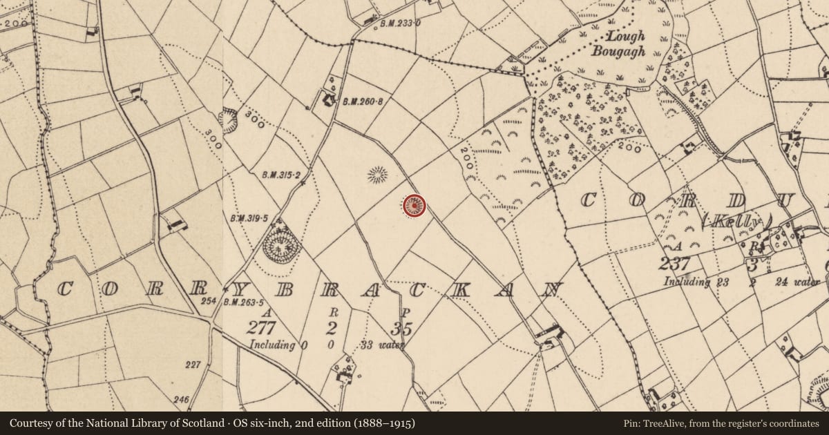 Ordnance Survey six-inch map, 2nd edition (1888–1915) covering the location of Ringfort - rath, Corrybrackan, County Monaghan, with a pin at the register's coordinates