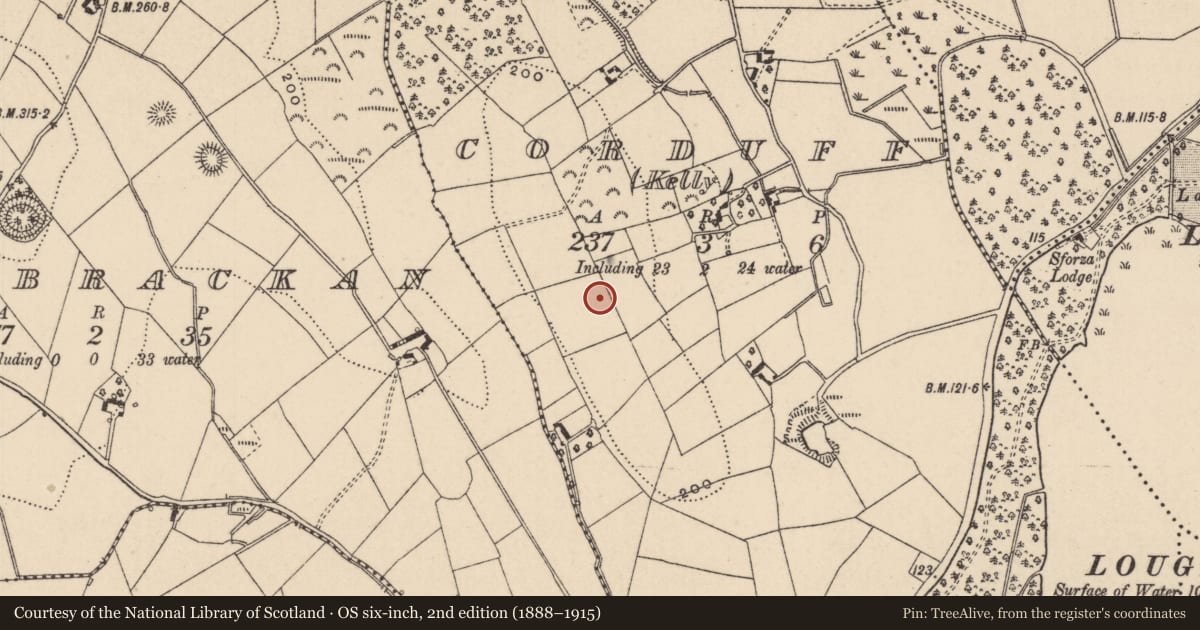 Ordnance Survey six-inch map, 2nd edition (1888–1915) covering the location of Ringfort - rath, Corduff (Kelly), County Monaghan, with a pin at the register's coordinates