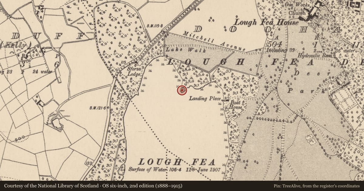 Ordnance Survey six-inch map, 2nd edition (1888–1915) covering the location of Crannog, Doohatty, County Monaghan, with a pin at the register's coordinates