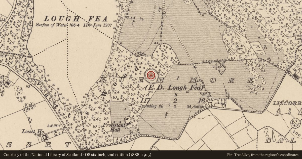 Ordnance Survey six-inch map, 2nd edition (1888–1915) covering the location of Ringfort - rath, Nure More (Farney By, County Monaghan, with a pin at the register's coordinates