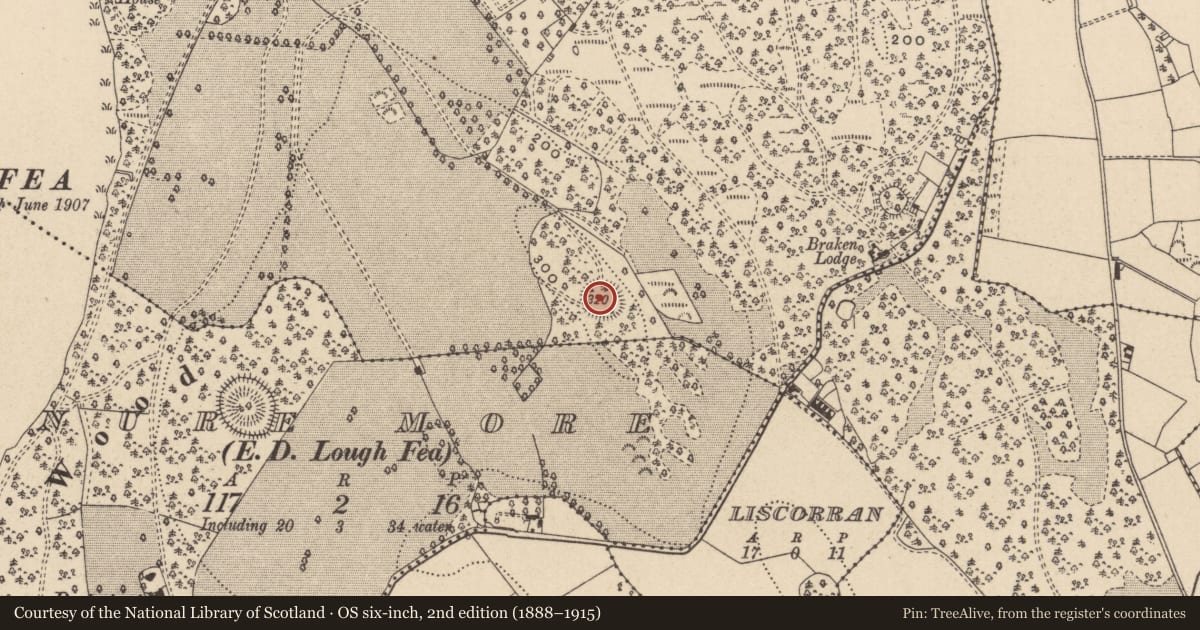 Ordnance Survey six-inch map, 2nd edition (1888–1915) covering the location of Ringfort - rath, Doohatty, County Monaghan, with a pin at the register's coordinates