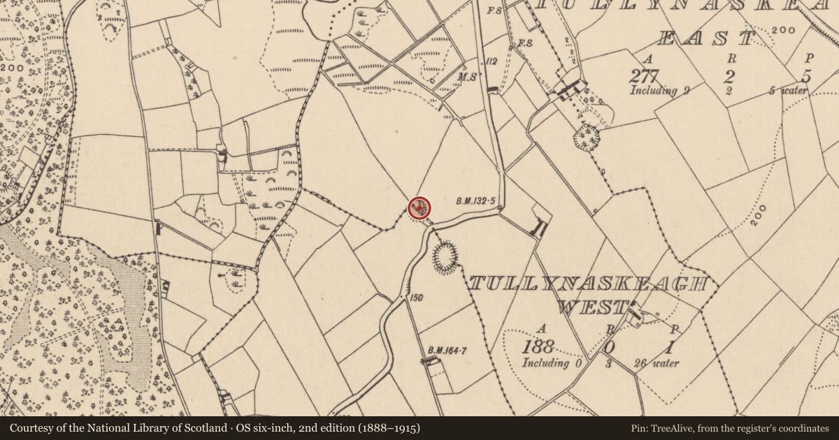Ordnance Survey six-inch map, 2nd edition (1888–1915) covering the location of Ringfort - rath, Tullynaskeagh West, Leonsgarve Or Leons (McKenna), County Monaghan, with a pin at the register's coordinates