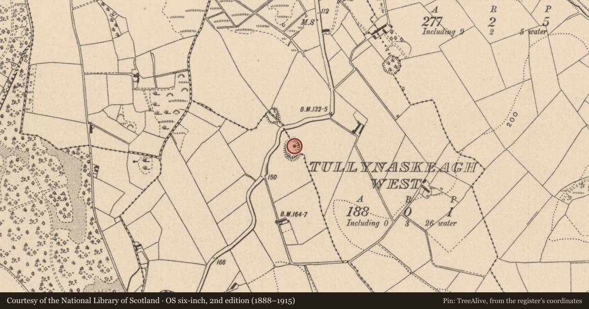 Ordnance Survey six-inch map, 2nd edition (1888–1915) covering the location of Ringfort - rath, Tullynaskeagh West, Leonsgarve Or Leons (McKenna), County Monaghan, with a pin at the register's coordinates