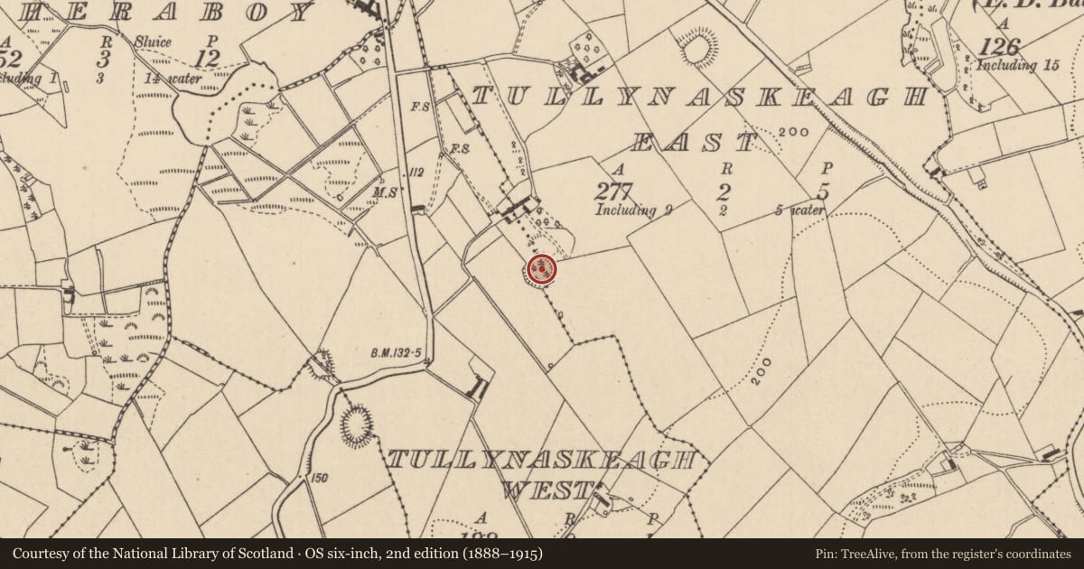 Ordnance Survey six-inch map, 2nd edition (1888–1915) covering the location of Ringfort - rath, Tullynaskeagh East, Tullynaskeagh West, County Monaghan, with a pin at the register's coordinates