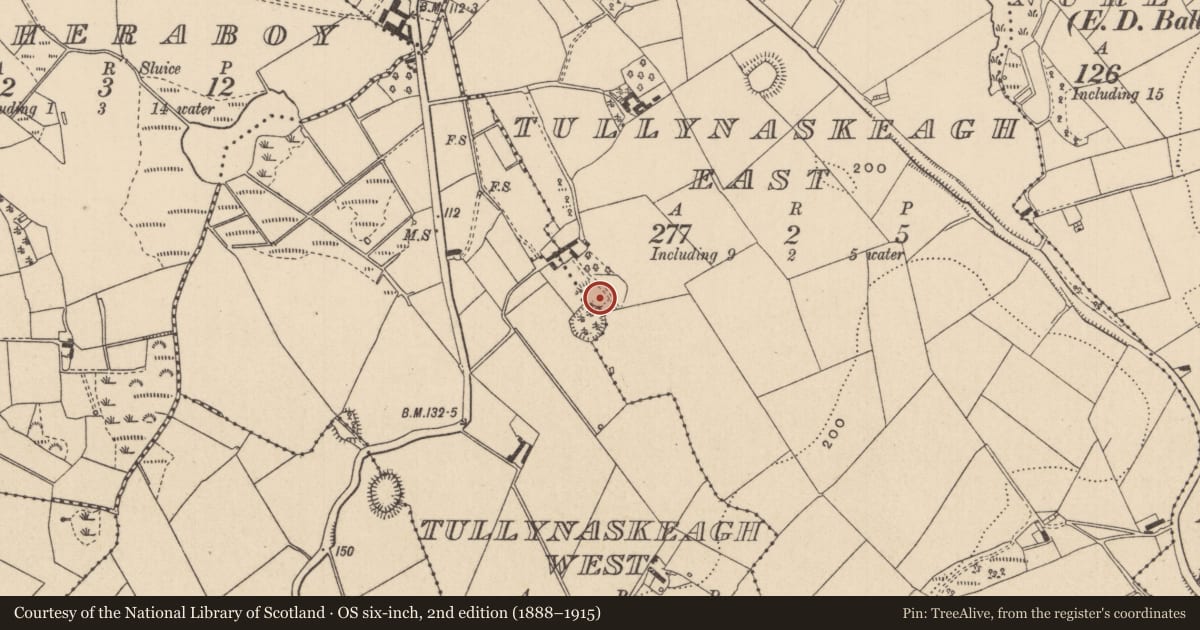 Ordnance Survey six-inch map, 2nd edition (1888–1915) covering the location of Enclosure, Tullynaskeagh East, Tullynaskeagh West, County Monaghan, with a pin at the register's coordinates