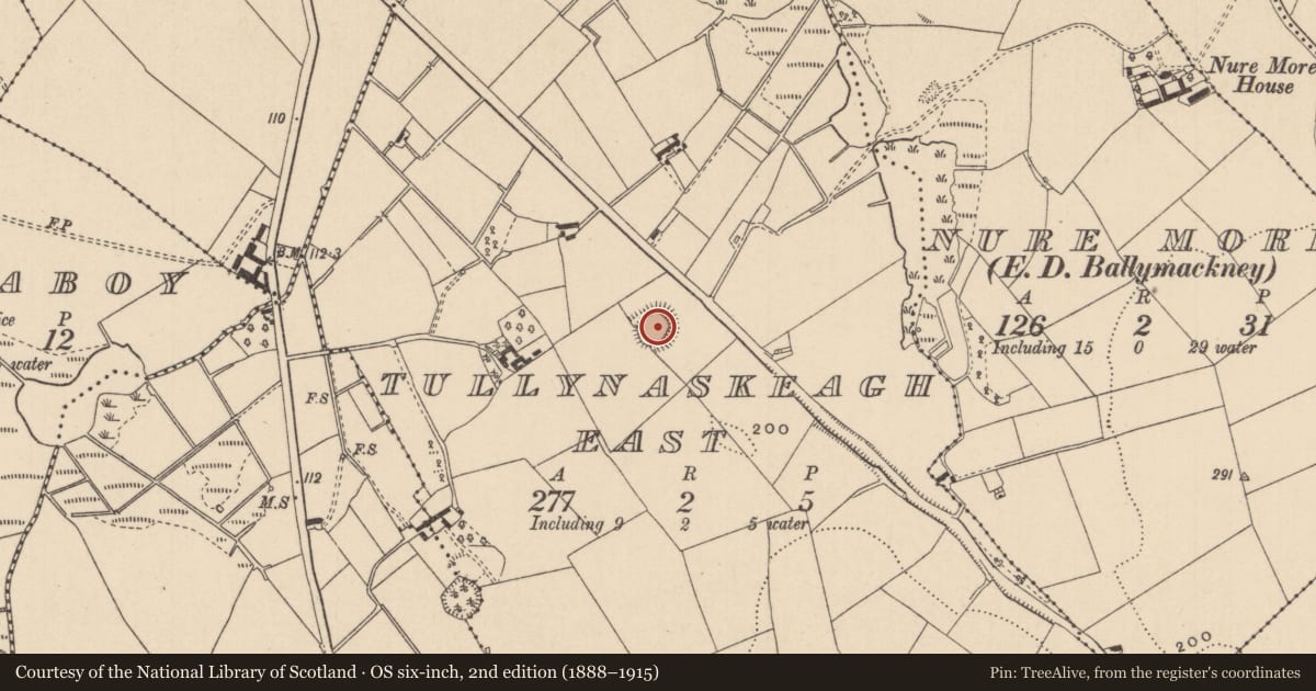 Ordnance Survey six-inch map, 2nd edition (1888–1915) covering the location of Ringfort - rath, Tullynaskeagh East, County Monaghan, with a pin at the register's coordinates